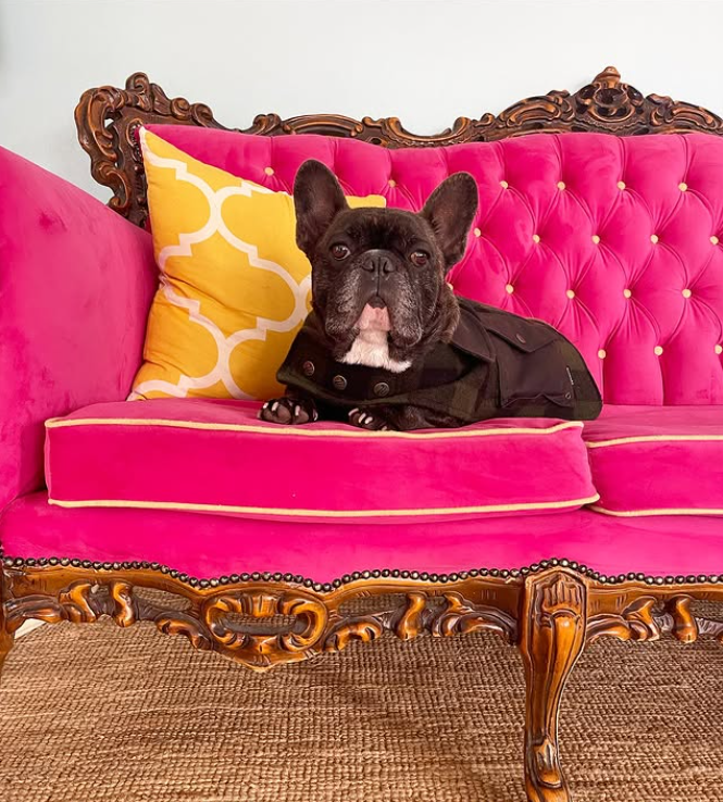 The Pink Dream Couch
