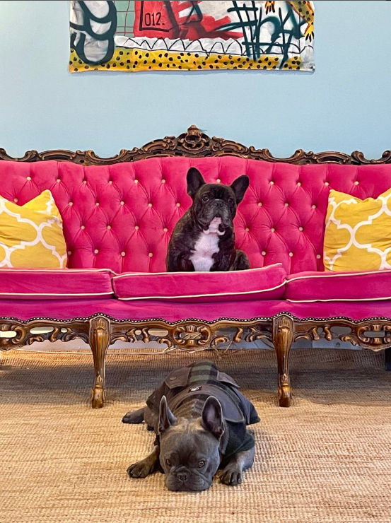The Pink Dream Couch