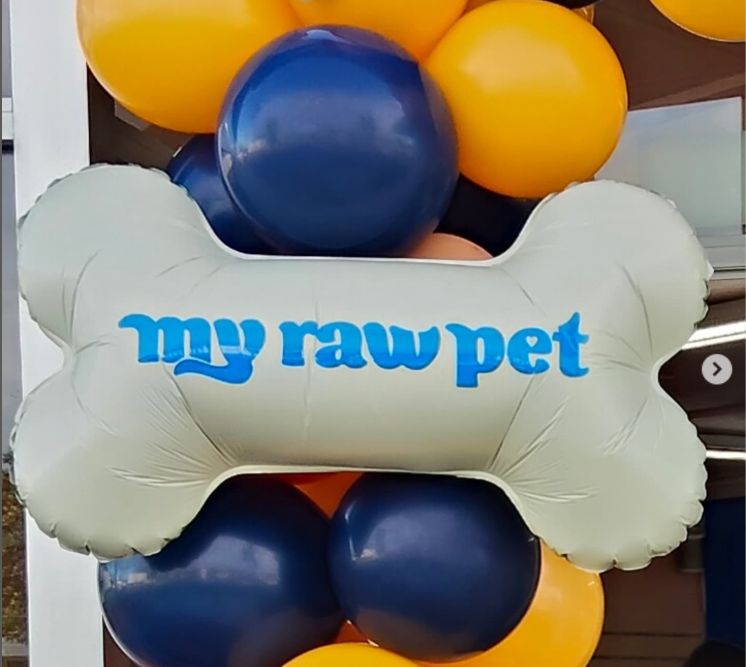 Display Arch + Balloon Garland Package.