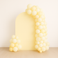 Backdrop Arch Hire- Includes a $20 bond refunded after your hire.